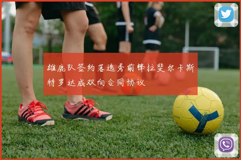 雄鹿队签约落选秀前锋拉斐尔卡斯特罗达成双向合同协议